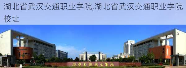 湖北省武汉交通职业学院,湖北省武汉交通职业学院校址