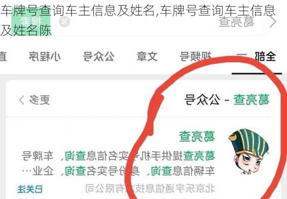 车牌号查询车主信息及姓名,车牌号查询车主信息及姓名陈