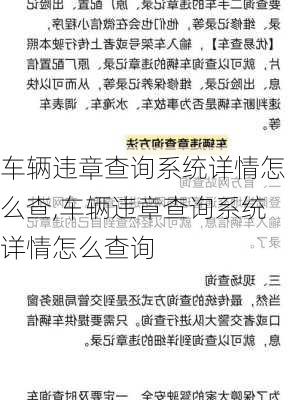 车辆违章查询系统详情怎么查,车辆违章查询系统详情怎么查询