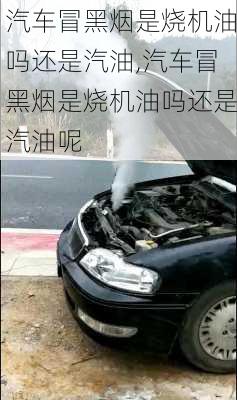 汽车冒黑烟是烧机油吗还是汽油,汽车冒黑烟是烧机油吗还是汽油呢