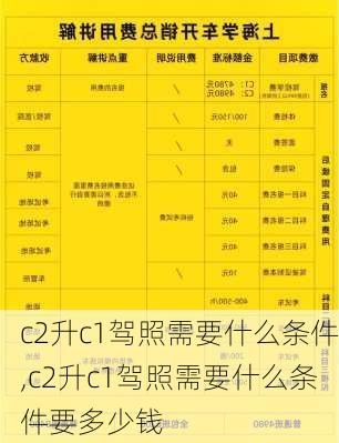 c2升c1驾照需要什么条件,c2升c1驾照需要什么条件要多少钱