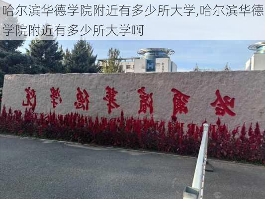 哈尔滨华德学院附近有多少所大学,哈尔滨华德学院附近有多少所大学啊