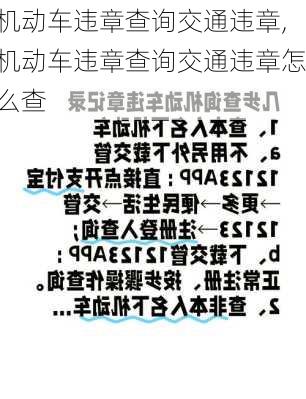 机动车违章查询交通违章,机动车违章查询交通违章怎么查