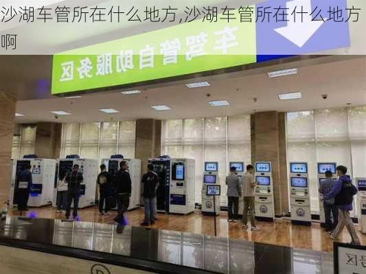 沙湖车管所在什么地方,沙湖车管所在什么地方啊