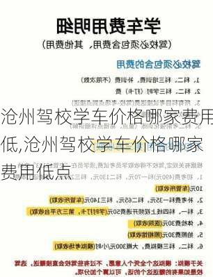 沧州驾校学车价格哪家费用低,沧州驾校学车价格哪家费用低点