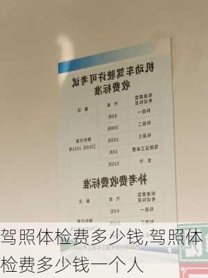 驾照体检费多少钱,驾照体检费多少钱一个人
