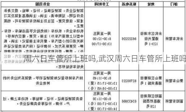 周六日车管所上班吗,武汉周六日车管所上班吗