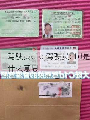 驾驶员c1d,驾驶员c1d是什么意思