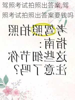 驾照考试拍照出答案,驾照考试拍照出答案要钱吗