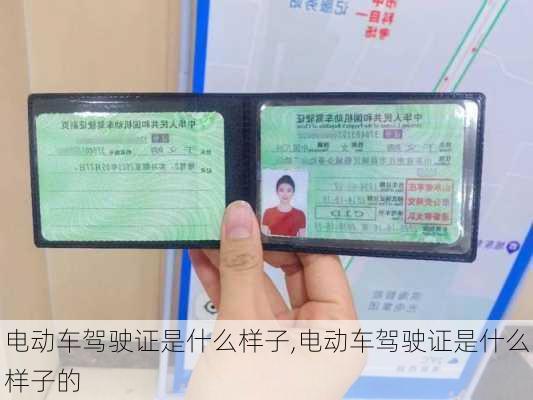 电动车驾驶证是什么样子,电动车驾驶证是什么样子的