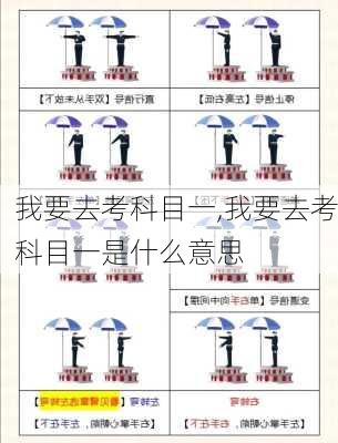 我要去考科目一,我要去考科目一是什么意思