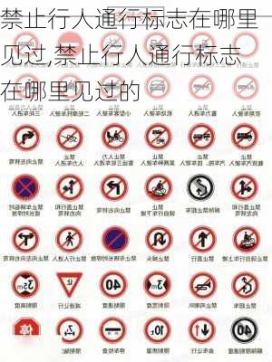 禁止行人通行标志在哪里见过,禁止行人通行标志在哪里见过的