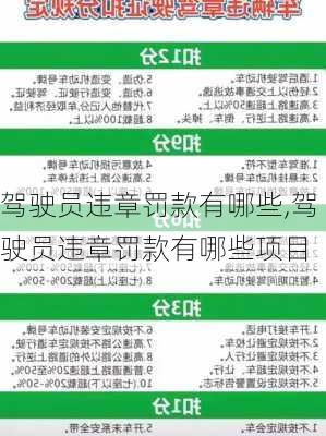 驾驶员违章罚款有哪些,驾驶员违章罚款有哪些项目