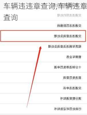 车辆违违章查询,车辆违章査询