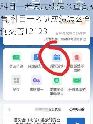 科目一考试成绩怎么查询交管,科目一考试成绩怎么查询交管12123