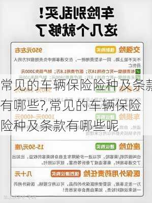 常见的车辆保险险种及条款有哪些?,常见的车辆保险险种及条款有哪些呢