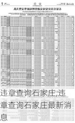 违章查询石家庄,违章查询石家庄最新消息