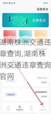 湖南株洲交通违章查询,湖南株洲交通违章查询官网
