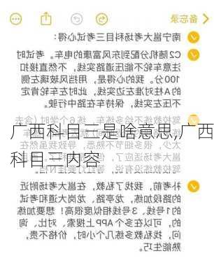 广西科目三是啥意思,广西科目三内容