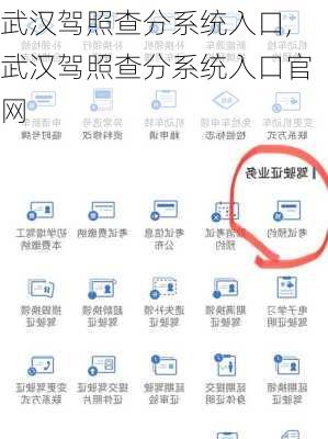 武汉驾照查分系统入口,武汉驾照查分系统入口官网