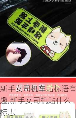 新手女司机车贴标语有趣,新手女司机贴什么标志