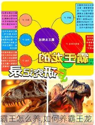 霸王怎么养,如何养霸王龙