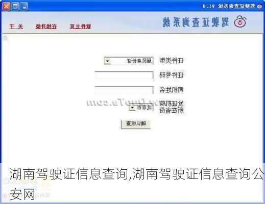 湖南驾驶证信息查询,湖南驾驶证信息查询公安网