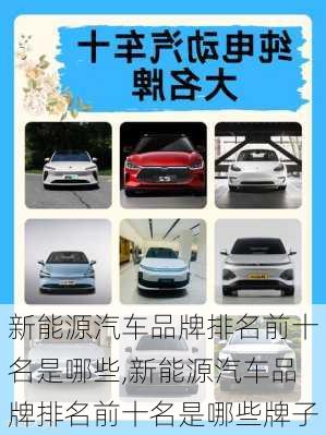 新能源汽车品牌排名前十名是哪些,新能源汽车品牌排名前十名是哪些牌子