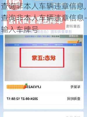 查询非本人车辆违章信息,查询非本人车辆违章信息-输入车牌号