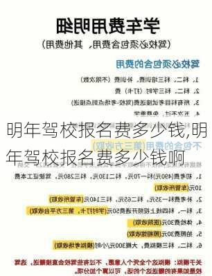 明年驾校报名费多少钱,明年驾校报名费多少钱啊