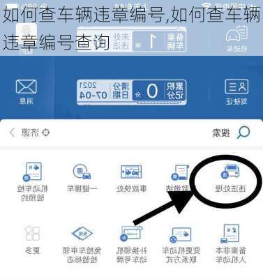 如何查车辆违章编号,如何查车辆违章编号查询
