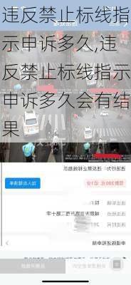 违反禁止标线指示申诉多久,违反禁止标线指示申诉多久会有结果