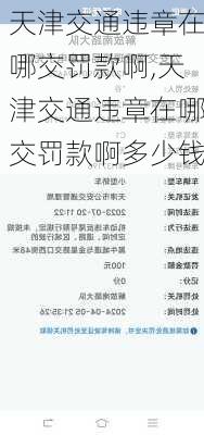 天津交通违章在哪交罚款啊,天津交通违章在哪交罚款啊多少钱
