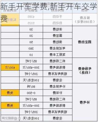 新手开车学费,新手开车交学费