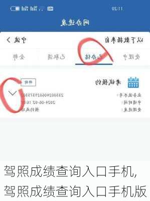 驾照成绩查询入口手机,驾照成绩查询入口手机版