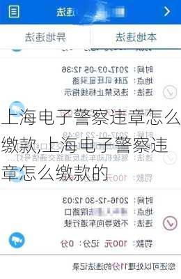 上海电子警察违章怎么缴款,上海电子警察违章怎么缴款的