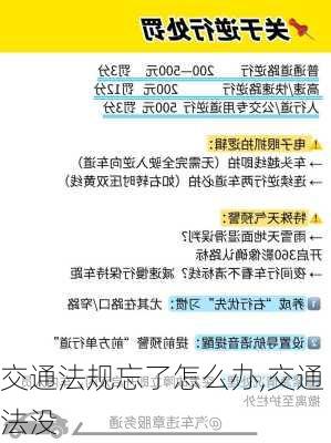 交通法规忘了怎么办,交通法没