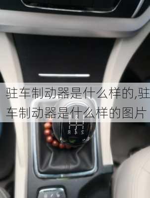 驻车制动器是什么样的,驻车制动器是什么样的图片
